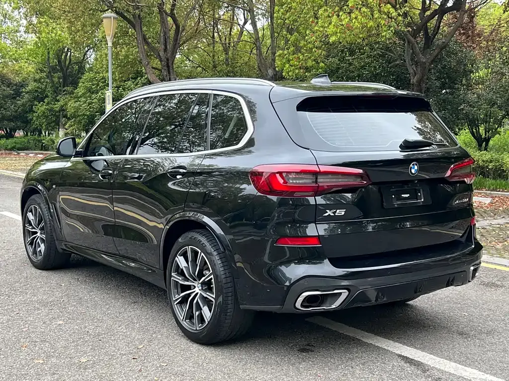 BMW X5 (Import) 2021 из CN, фото 8