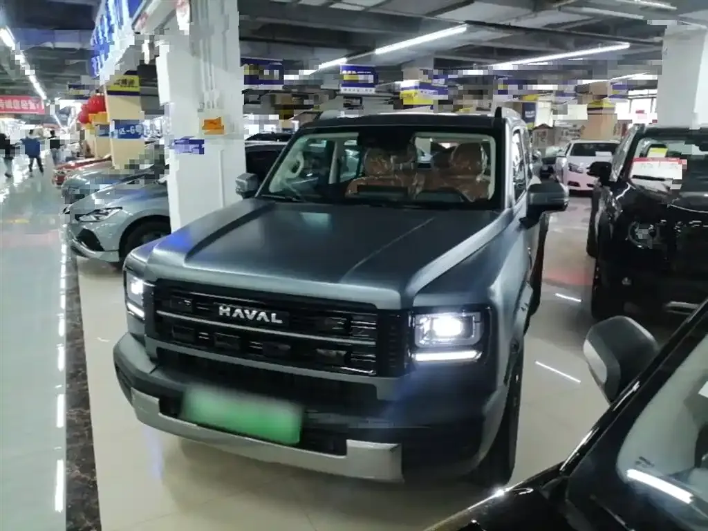Haval Menglong New Energy — фото 10