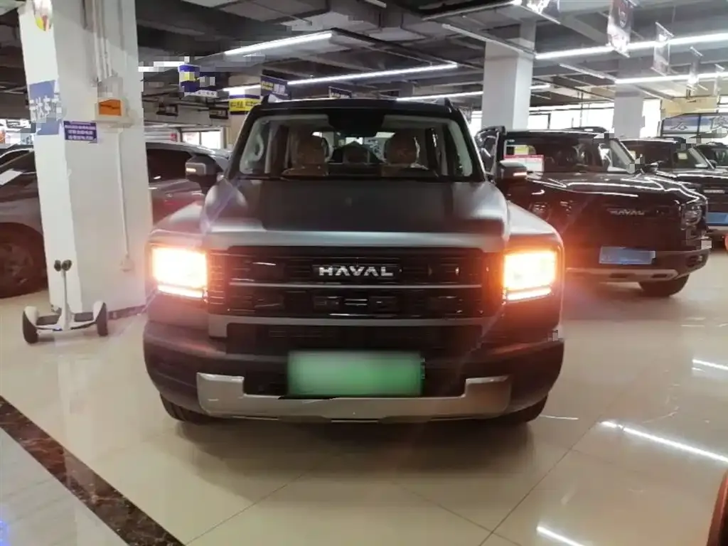Haval Menglong New Energy — фото 8