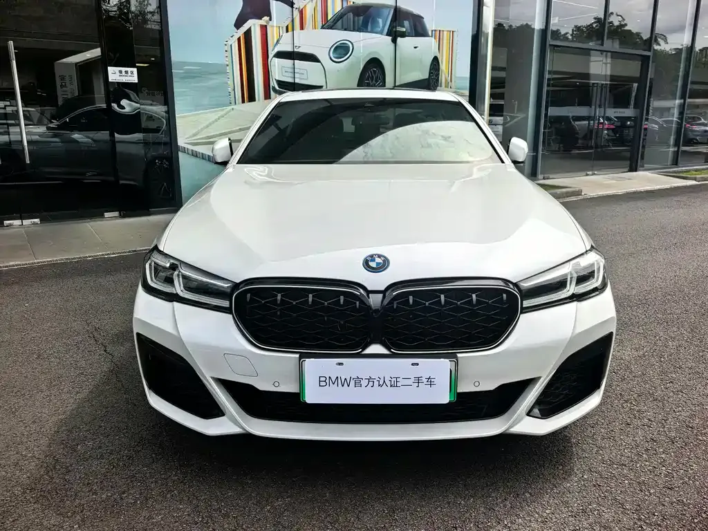 BMW 5 Series New Energy — фото 10