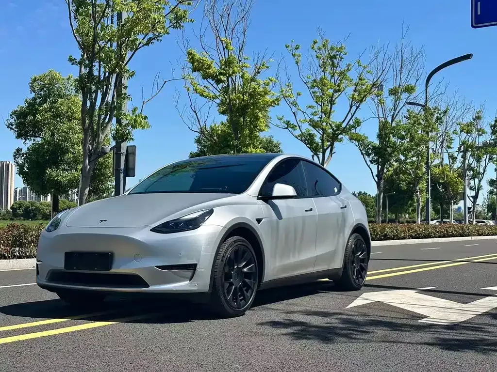 Tesla Model Y — фото 1