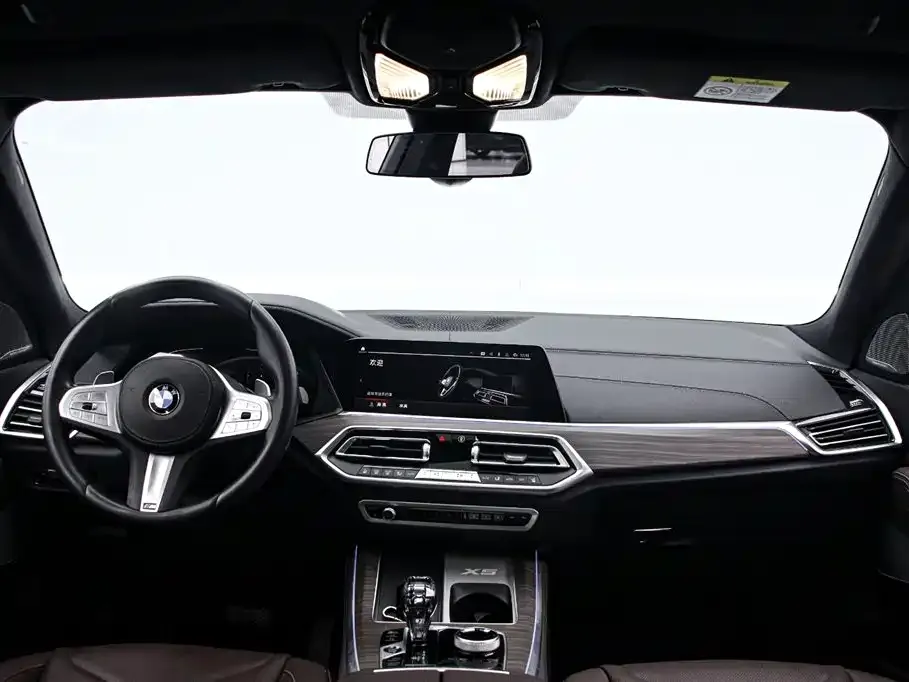 BMW X5 — фото 10