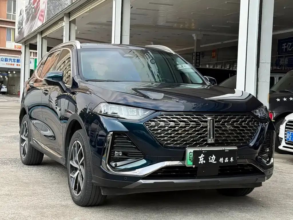 Wey Latte DHT-PHEV 2022 из CN, фото 8