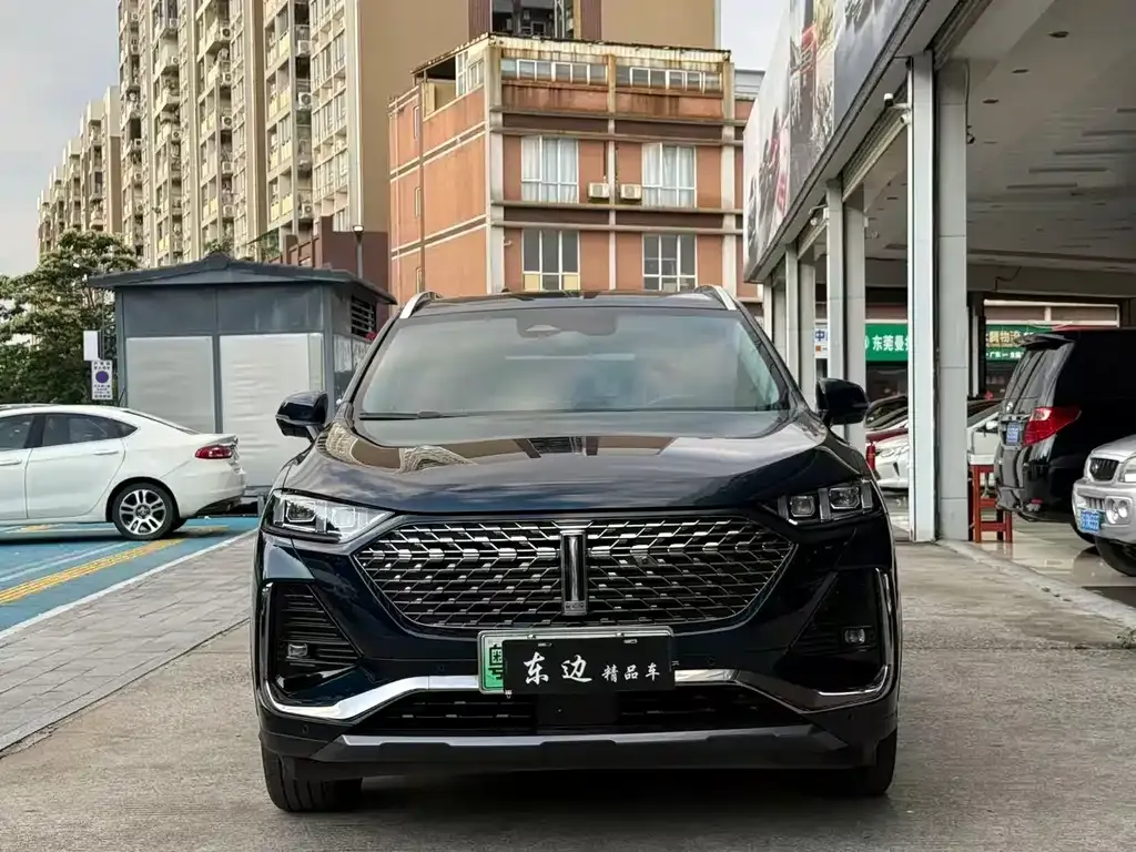 Wey Latte DHT-PHEV 2022 из CN, фото 3