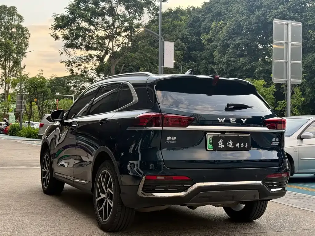 Wey Latte DHT-PHEV 2022 из CN, фото 10