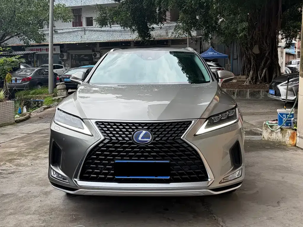 Lexus RX — фото 10