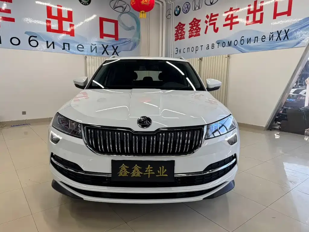 Skoda Karoq — фото 7