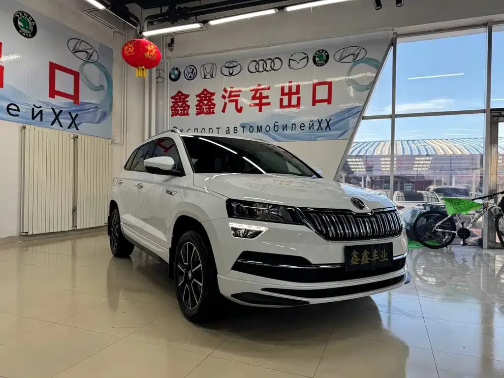 Skoda Karoq — фото 6