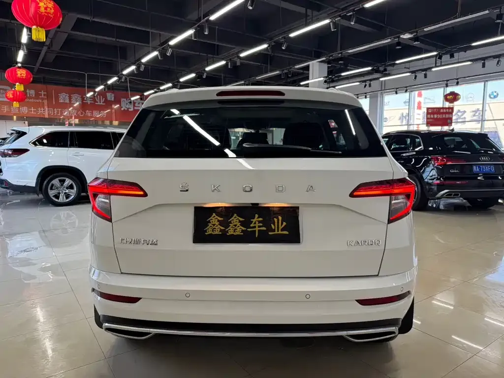 Skoda Karoq — фото 5