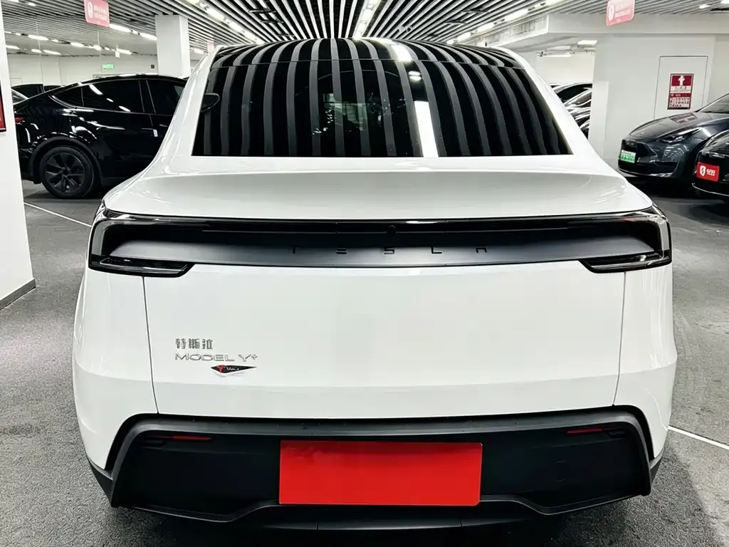 Tesla Model Y — фото 5