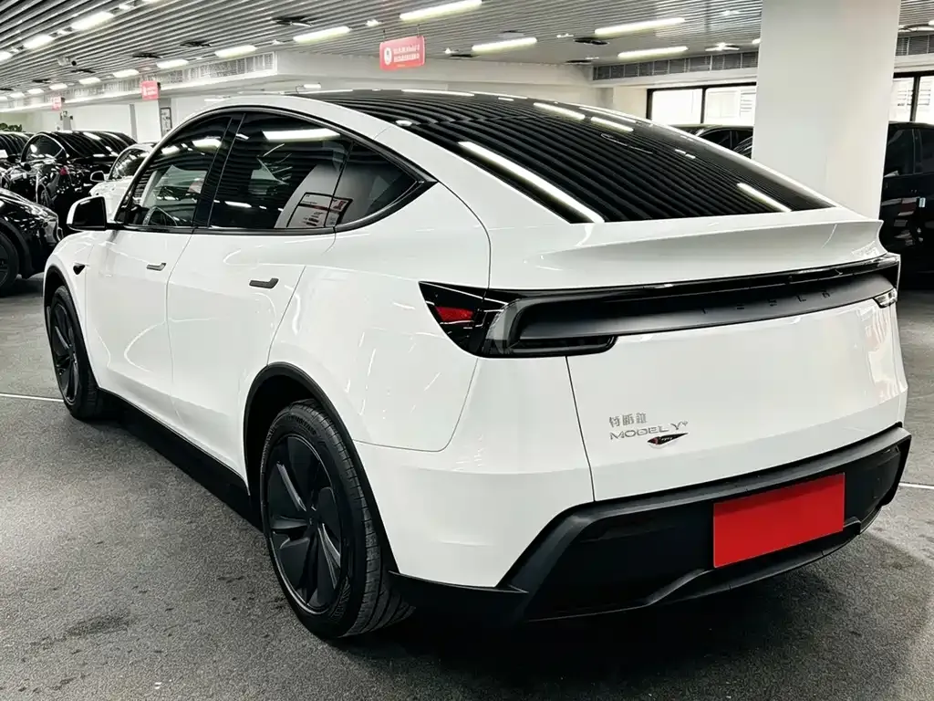 Tesla Model Y — фото 4