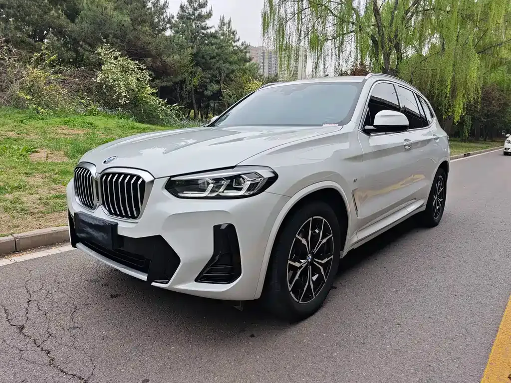 BMW X3 — фото 1