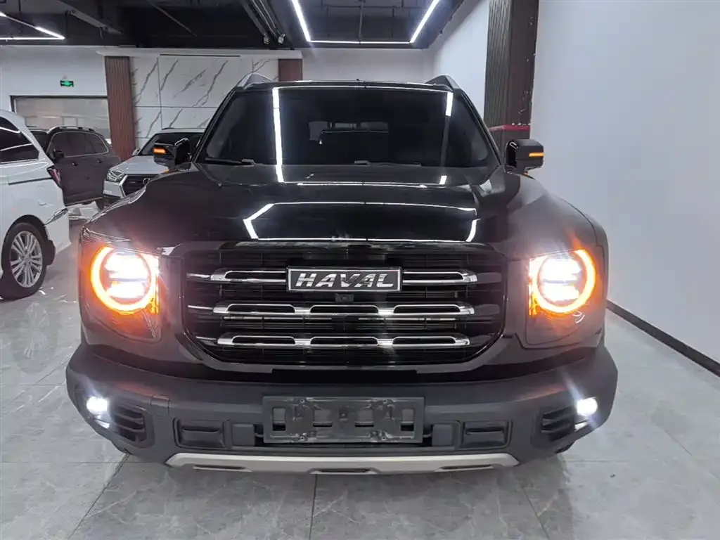 Haval Big Dog 2023 из CN, фото 7