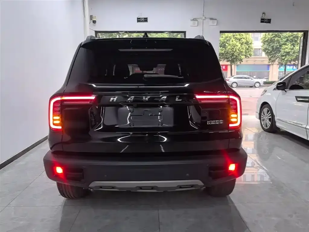 Haval Big Dog 2023 из CN, фото 4