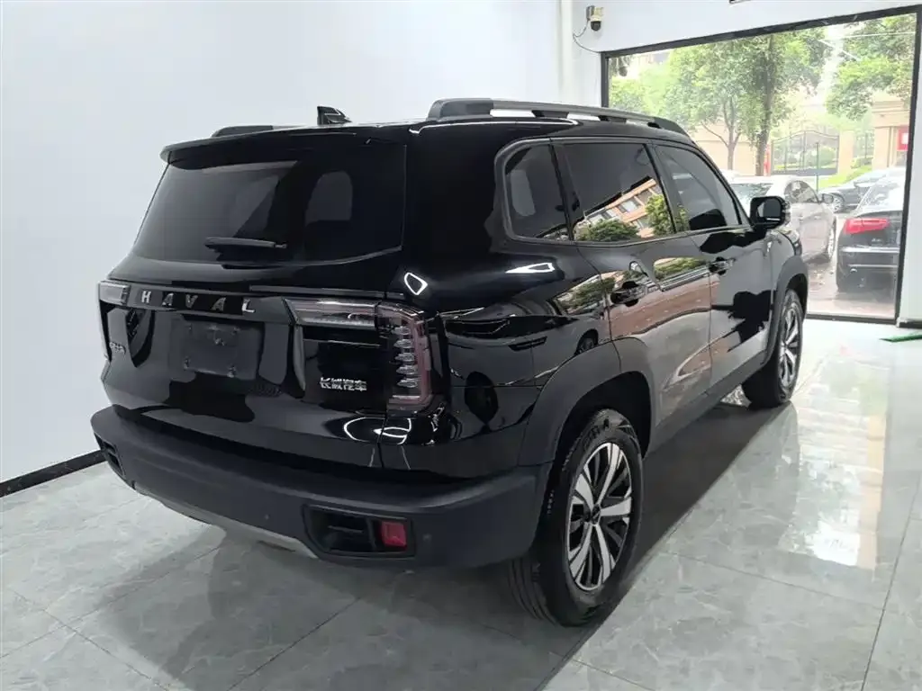 Haval Big Dog 2023 из CN, фото 5