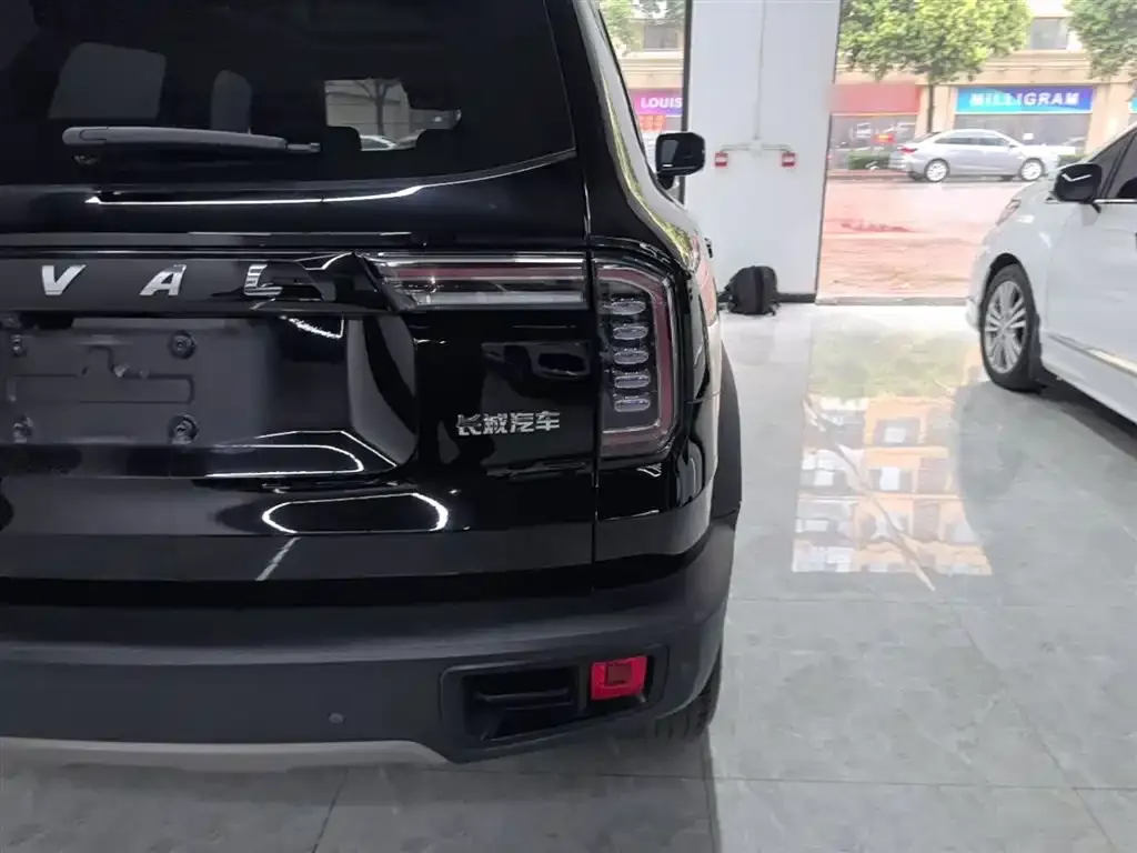 Haval Big Dog 2023 из CN, фото 3