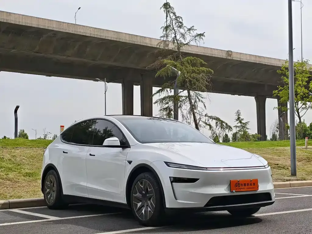 Tesla Model Y L 2025 из CN, фото 6