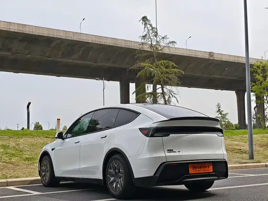 Tesla Model Y L 2025 из CN, фото 8