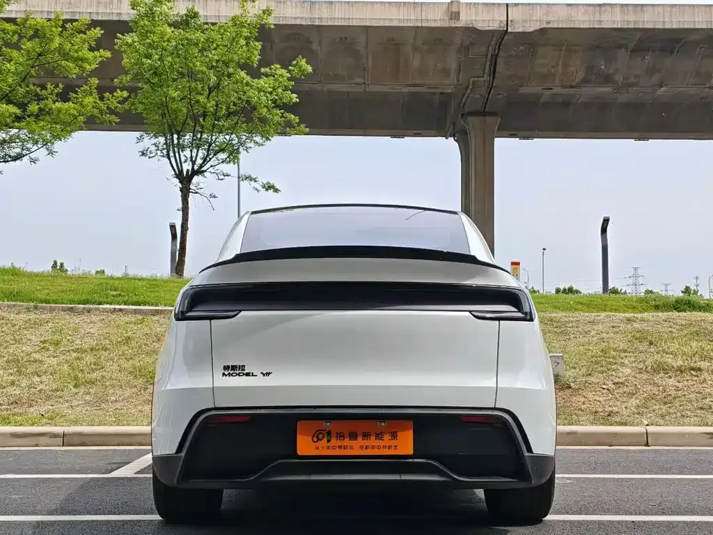 Tesla Model Y L 2025 из CN, фото 9