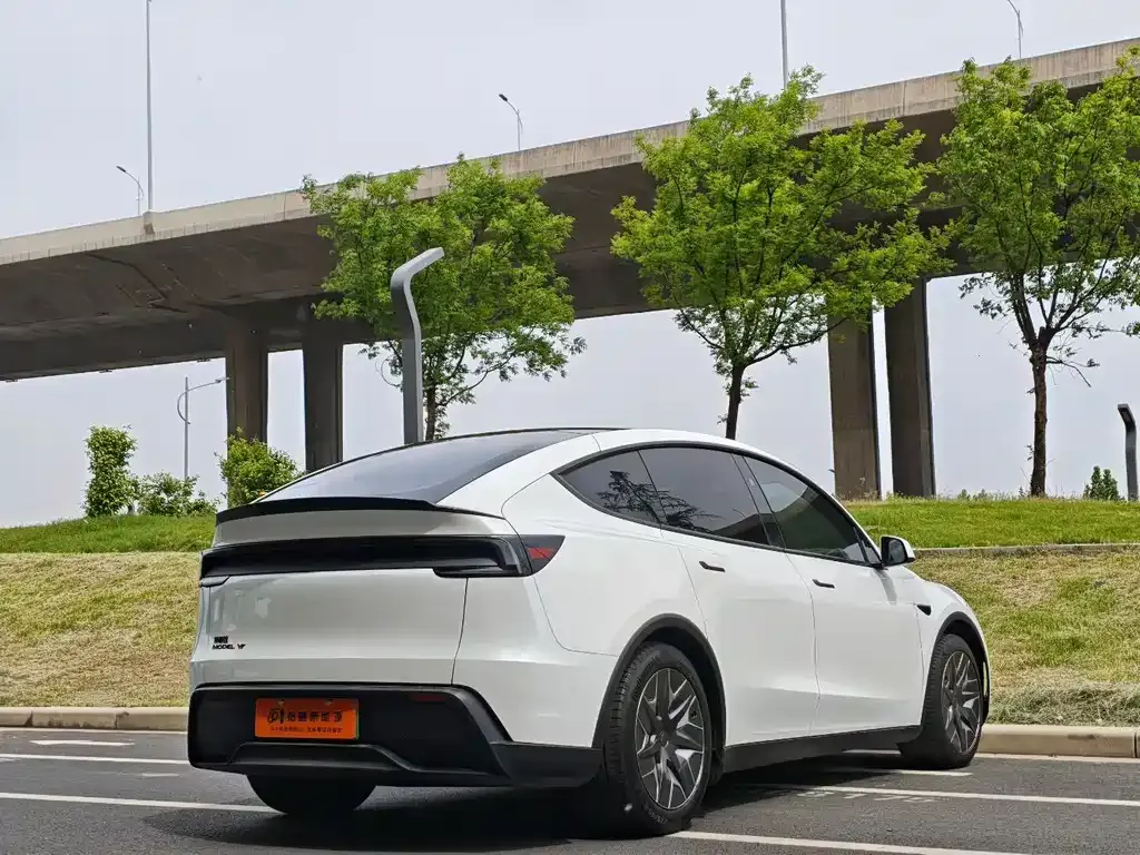 Tesla Model Y L 2025 из CN, фото 5