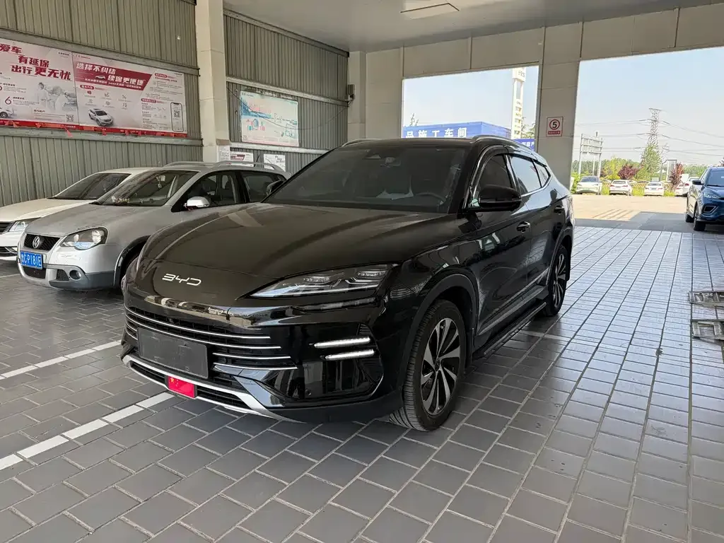 BYD PLUS New Energy — фото 1
