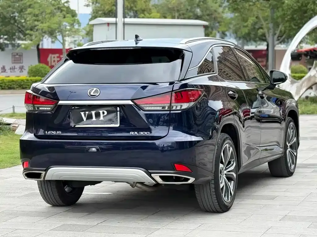 Lexus RX — фото 9