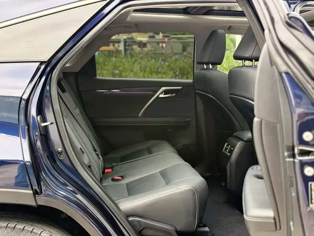 Lexus RX — фото 10