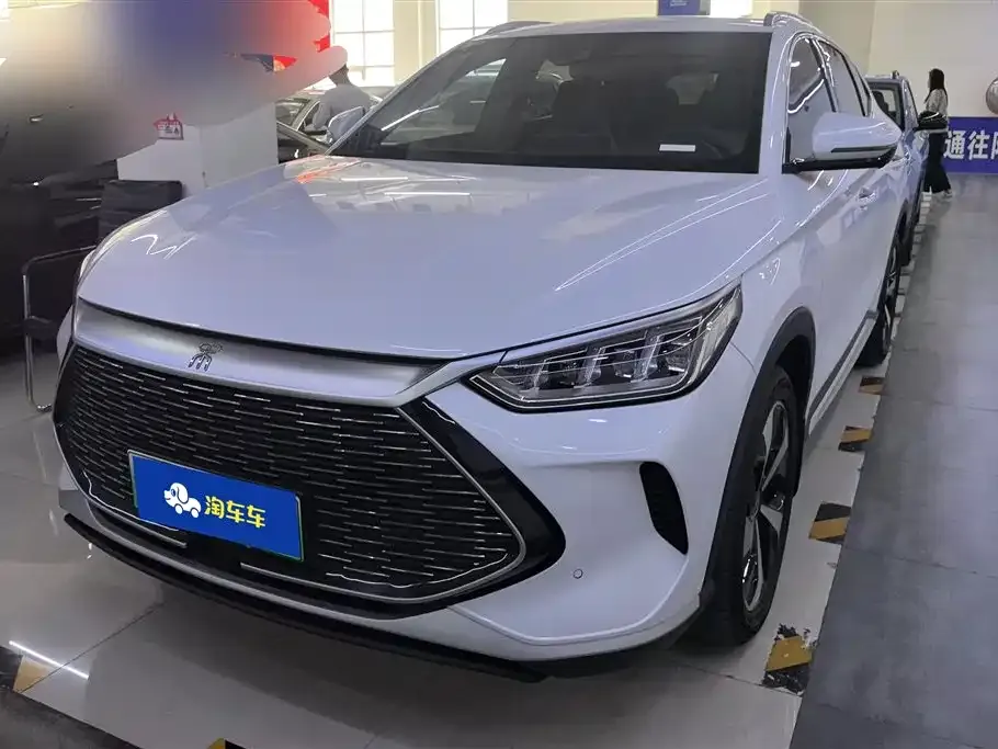 BYD PLUS New Energy — фото 1