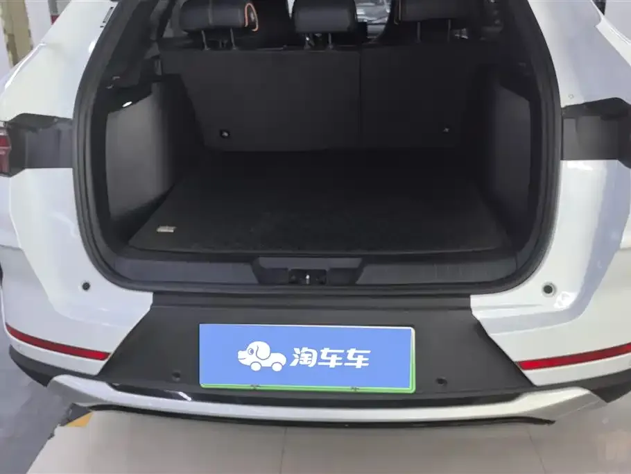 BYD PLUS New Energy — фото 2