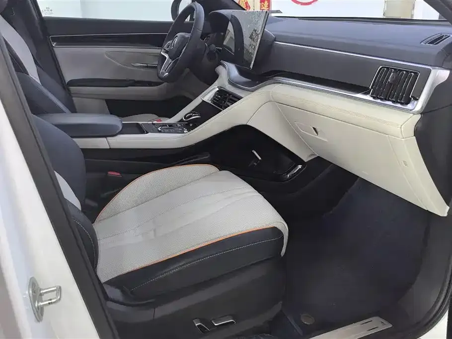 BYD PLUS New Energy — фото 10