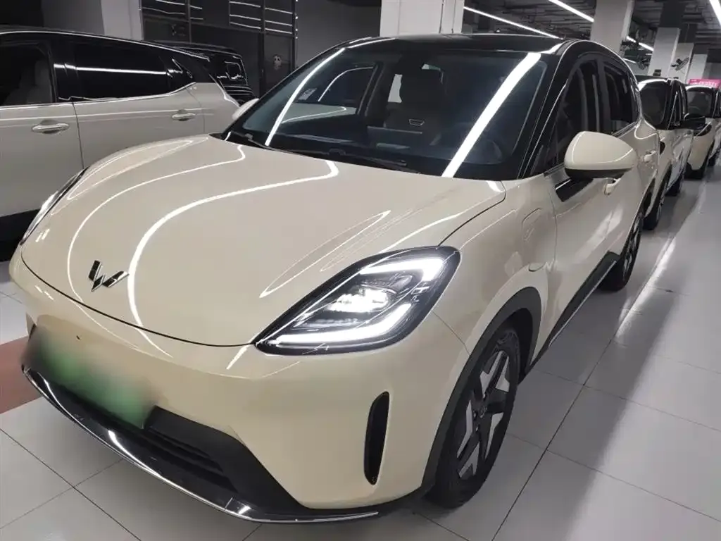 Wuling Bingo S