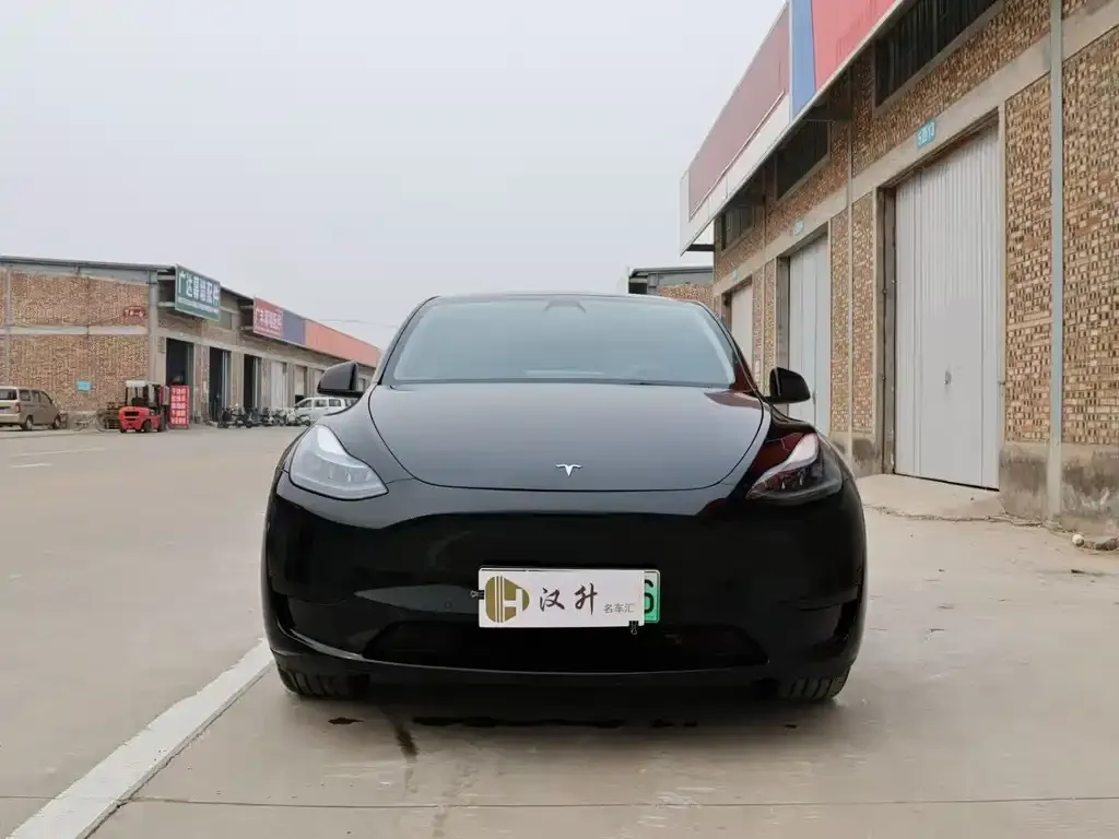 Tesla Model Y — фото 5