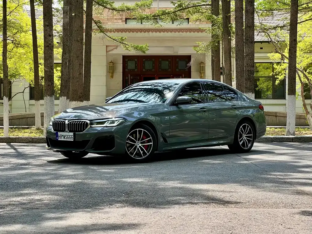 BMW 5 Series (Import)