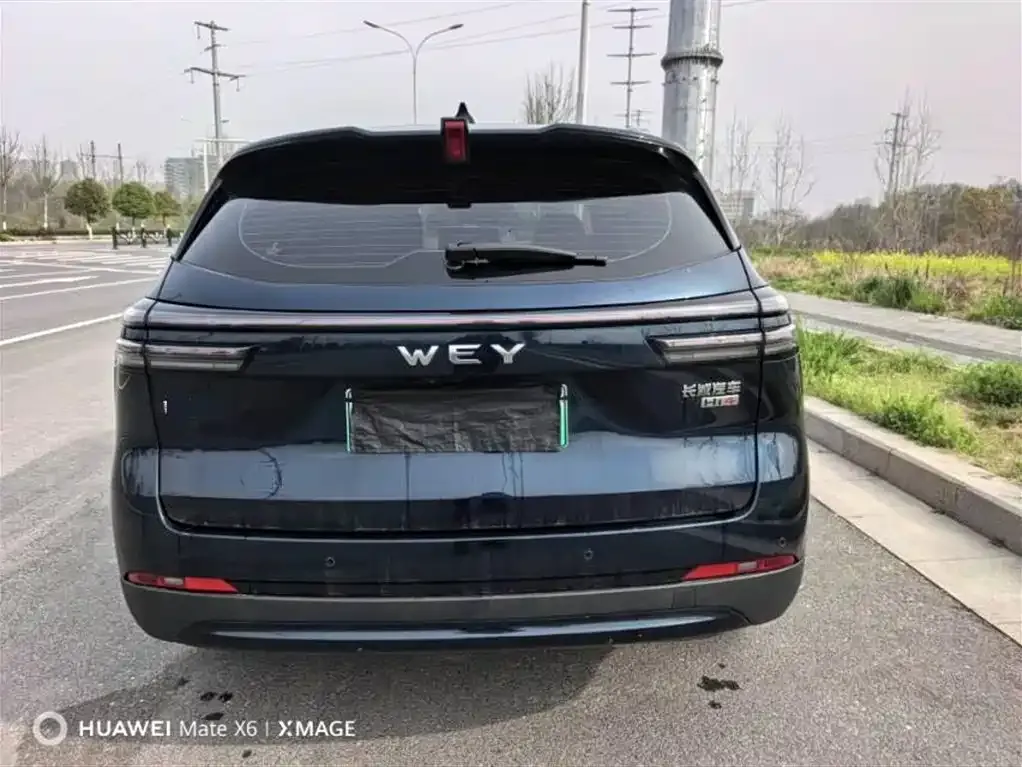 Wey Latte DHT-PHEV 2024 из CN, фото 5
