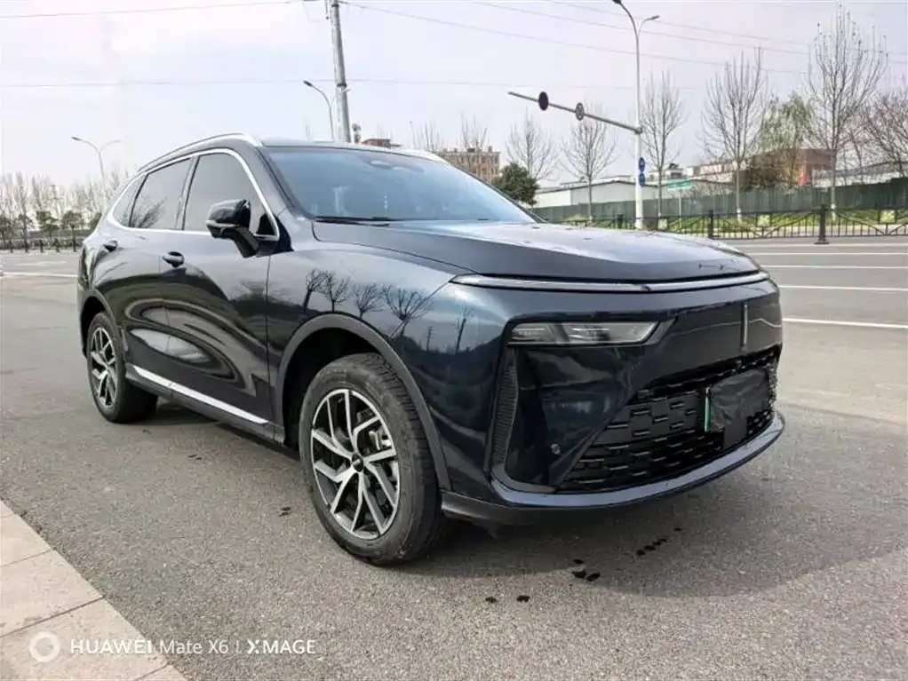 Wey Latte DHT-PHEV 2024 из CN, фото 10