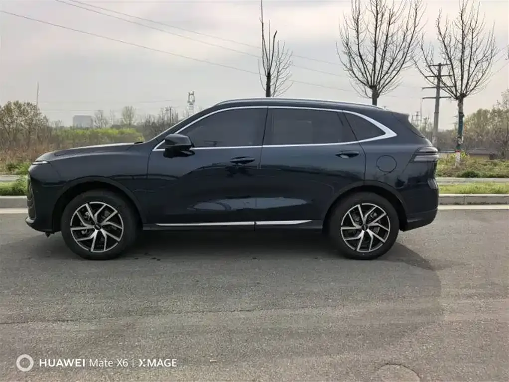 Wey Latte DHT-PHEV 2024 из CN, фото 9