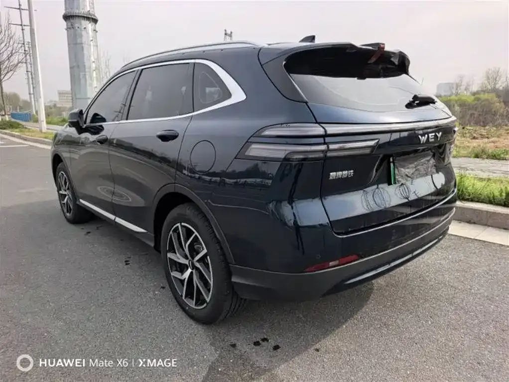 Wey Latte DHT-PHEV 2024 из CN, фото 6