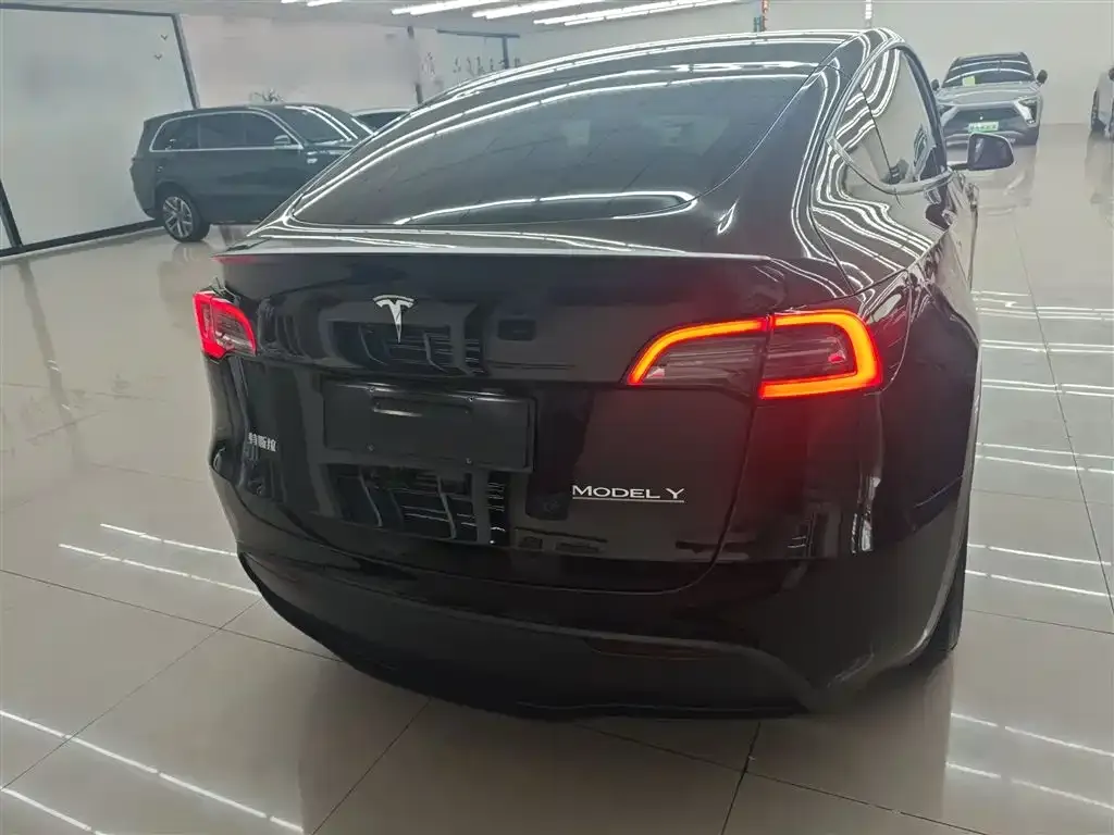 Tesla Model Y — фото 9