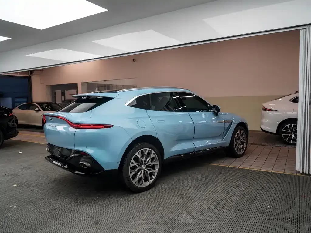 Aston Martin DBX 2022 из CN, фото 6