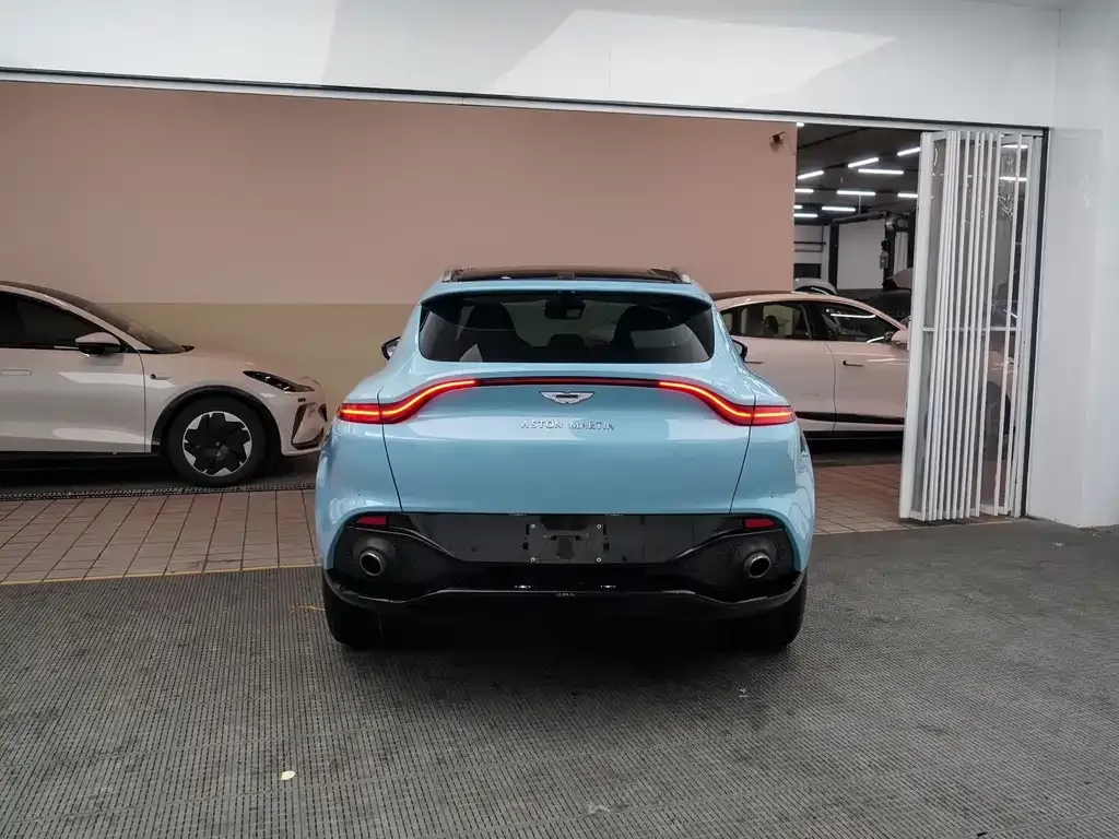 Aston Martin DBX 2022 из CN, фото 10