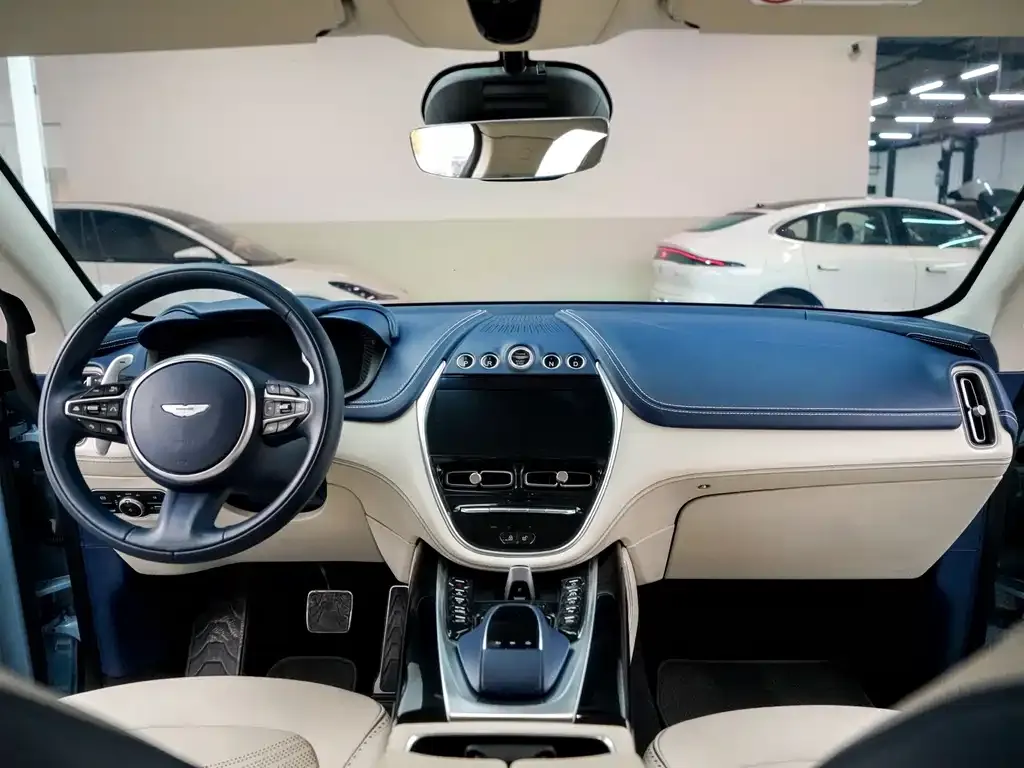 Aston Martin DBX 2022 из CN, фото 7