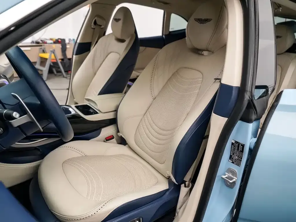 Aston Martin DBX 2022 из CN, фото 9