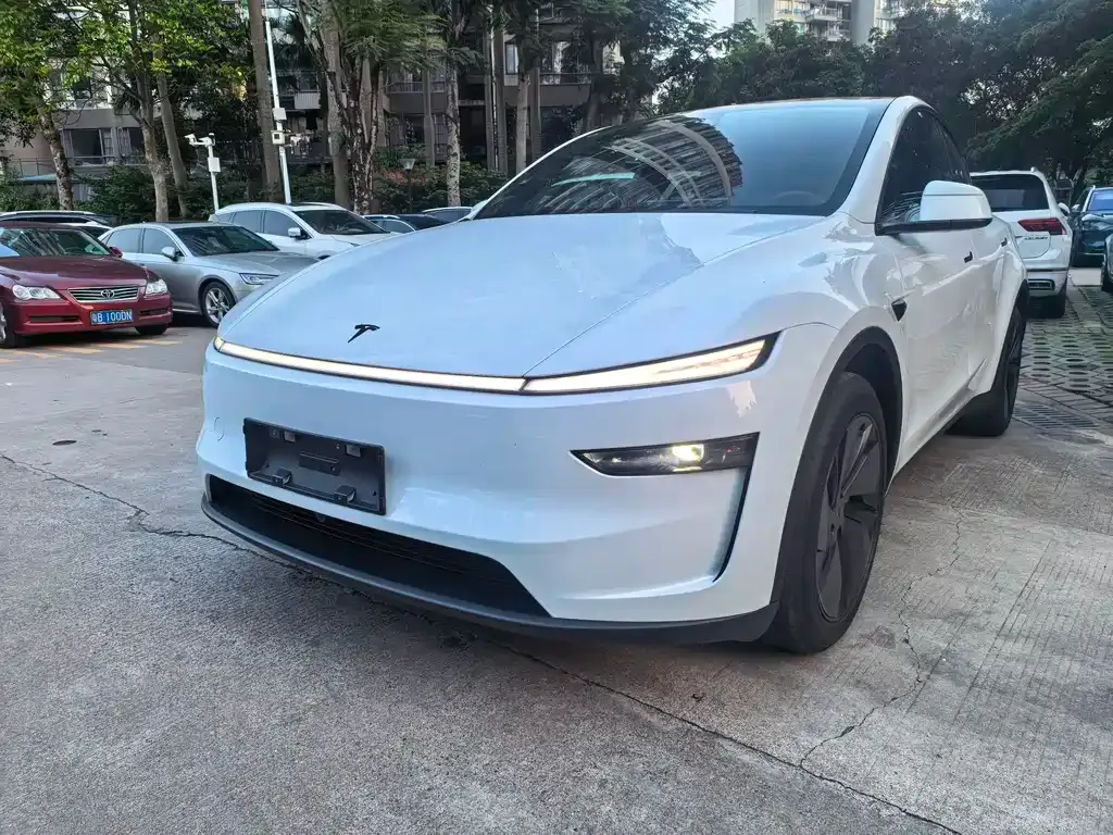 Tesla Model Y — фото 1