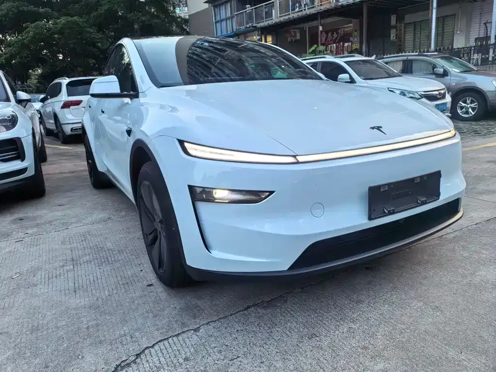 Tesla Model Y — фото 3