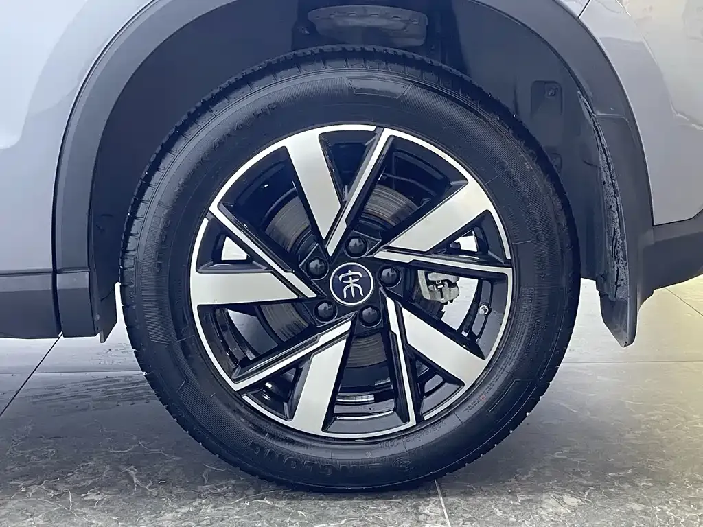 BYD Pro New Energy — фото 10