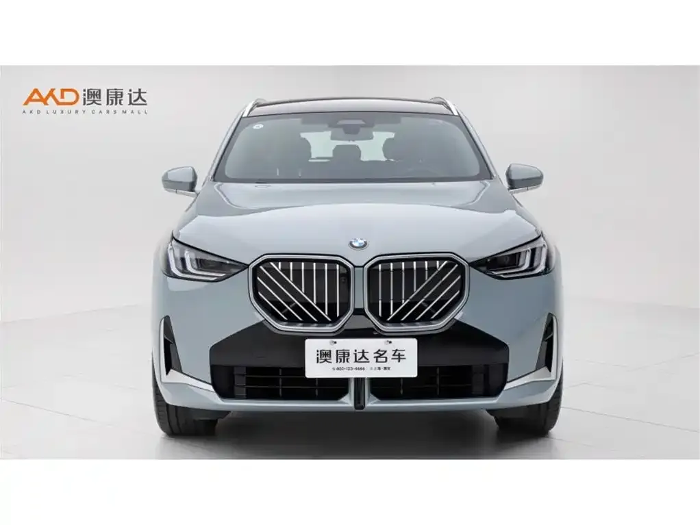 BMW X3 2025 из CN, фото 9