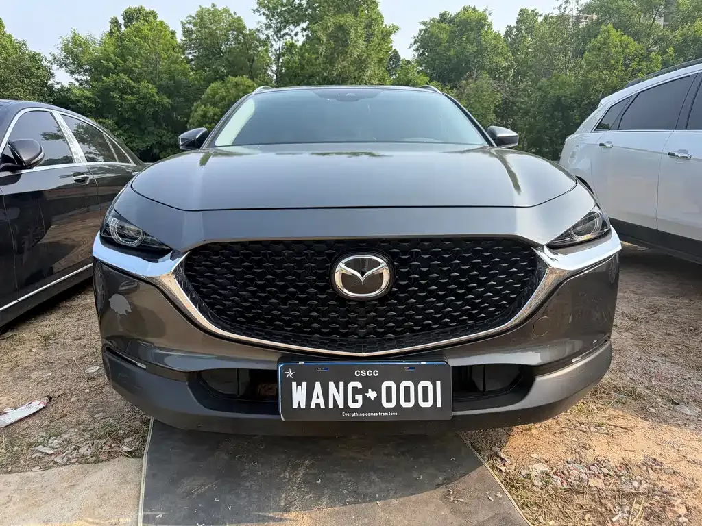 Mazda CX-30 2021 из CN, фото 9