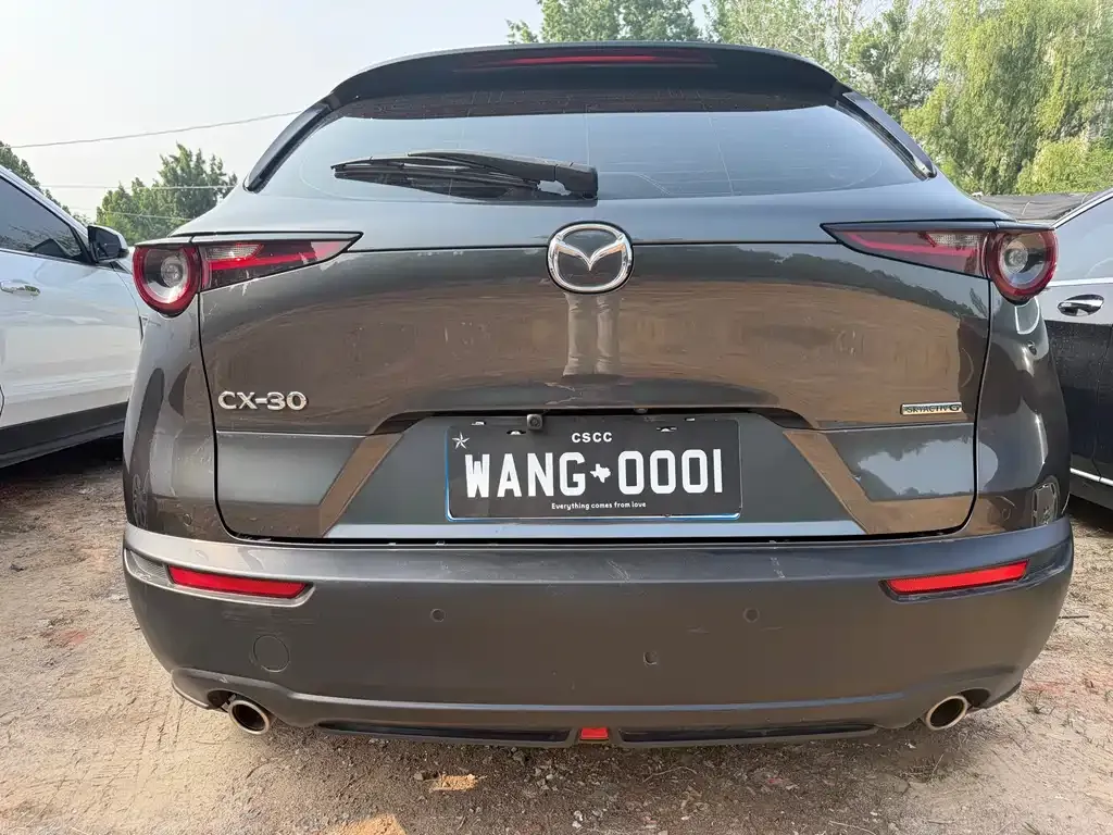 Mazda CX-30 2021 из CN, фото 3