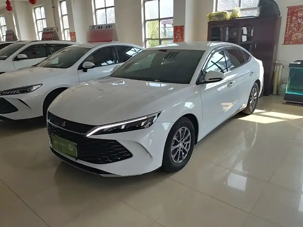 BYD Qin L 2024 из CN, фото 10