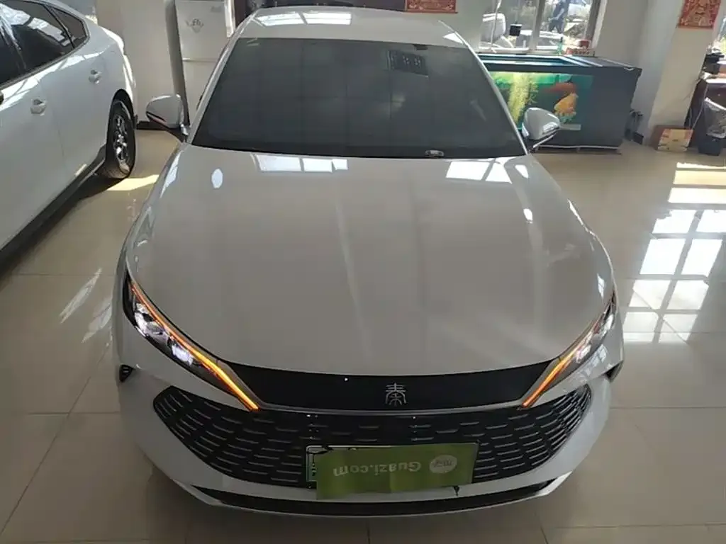 BYD Qin L 2024 из CN, фото 4
